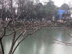 -知味观(湖滨总店)