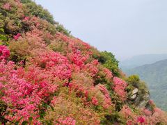 -木兰云雾山