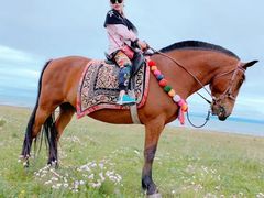 -青海湖国家重点风景名胜区