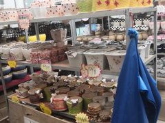 -龙大花卉苗木市场