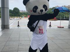 -熊猫不走蛋糕（同城送）(长沙店)