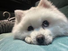 -伽利略剧本探案馆(国贸店)