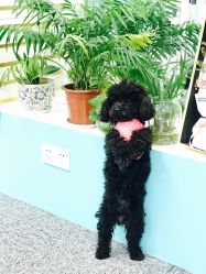 -斐尔国际皮肤管理中心