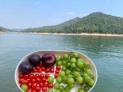 -酒仙湖景区