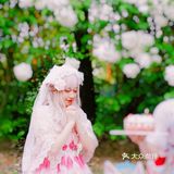 一定不要错过，魔都最浪漫的木绣球全部开了