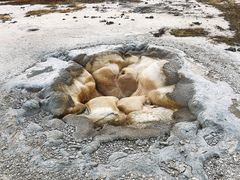 -老忠实间歇泉
