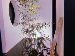 -古耳咖啡(北锣店)