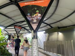 -圣淘沙天际线斜坡滑车
