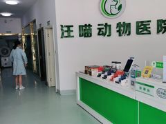 -汪喵宠物医院·骨科心脏影像·犬猫急重症ICU诊疗中心(成华分院)