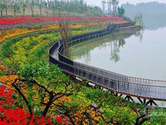 -白鹭湾湿地公园