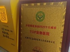-半岛宠物医院24小时(白果林店)