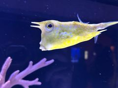 -上海海洋水族馆