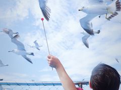 -海驴岛(荣成市)