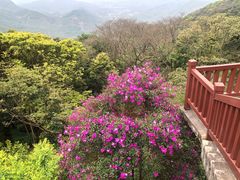 -广州市石门国家森林公园