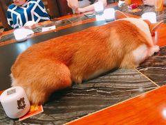 -MRX狼人杀俱乐部(黄浦店)