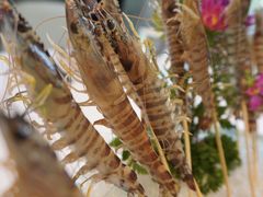 -新花城蟹粉馆(乌鲁木齐店)