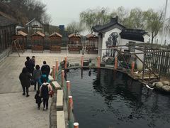 -湖鲜楼