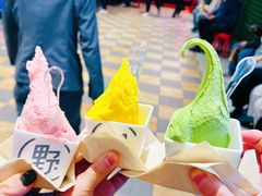 -野人先生现做冰淇淋(西安赛格店)