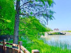 -东湖落雁景区