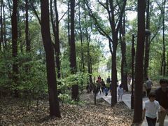 android_upload_pic-灵岩山风景区
