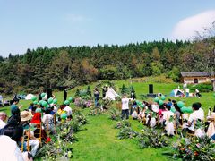 -武陵山森林公园