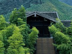 -大唐贡茶院