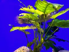 -上海海洋水族馆