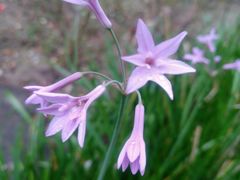 -苏州河梦清园环保主题公园