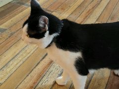 -猫的天空之城概念书店(杭州南宋御街店)