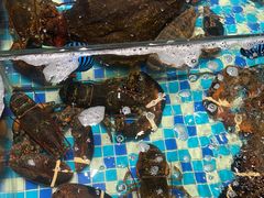 -映像威海·海鲜味道(市区店)