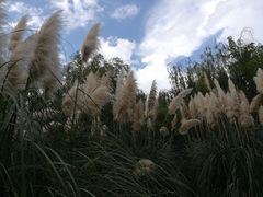 -贵阳市花溪国家城市湿地公园