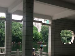 -晓港公园