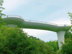 -飞凤山奥体公园