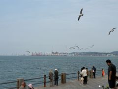 -悦海公园