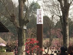 -秀丽东方
