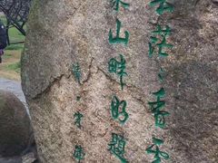 -香雪海