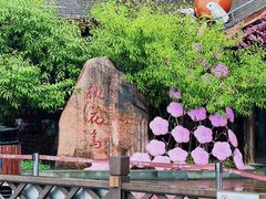 -金鸡湖桃花岛