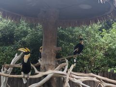 -上海野生动物园