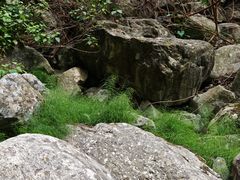 -大理苍山石门关旅游度假区