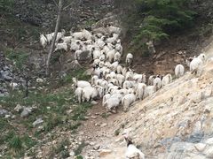 -白草畔自然风景区