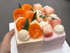 -山与蓝·轻糖鲜果蛋糕(勒泰店)