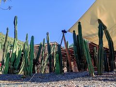 -MOJ coffee(瓯海泽雅水碓坑店)