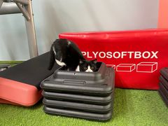 -SAH健身私教工作室(紫东店)