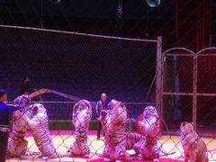 景点-西安秦岭野生动物园