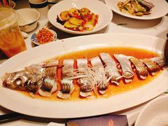 -凤凰湘语(浦东旗舰店)