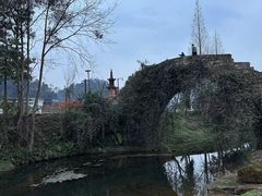 -雅安上里古镇