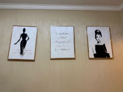 -演员的秘密·皮肤管理