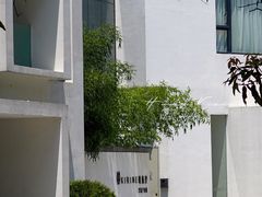 -中国科学院华南植物园