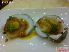 蒜容元贝-海岛渔村大酒店(云霄路店)