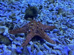 -江和美海洋公园